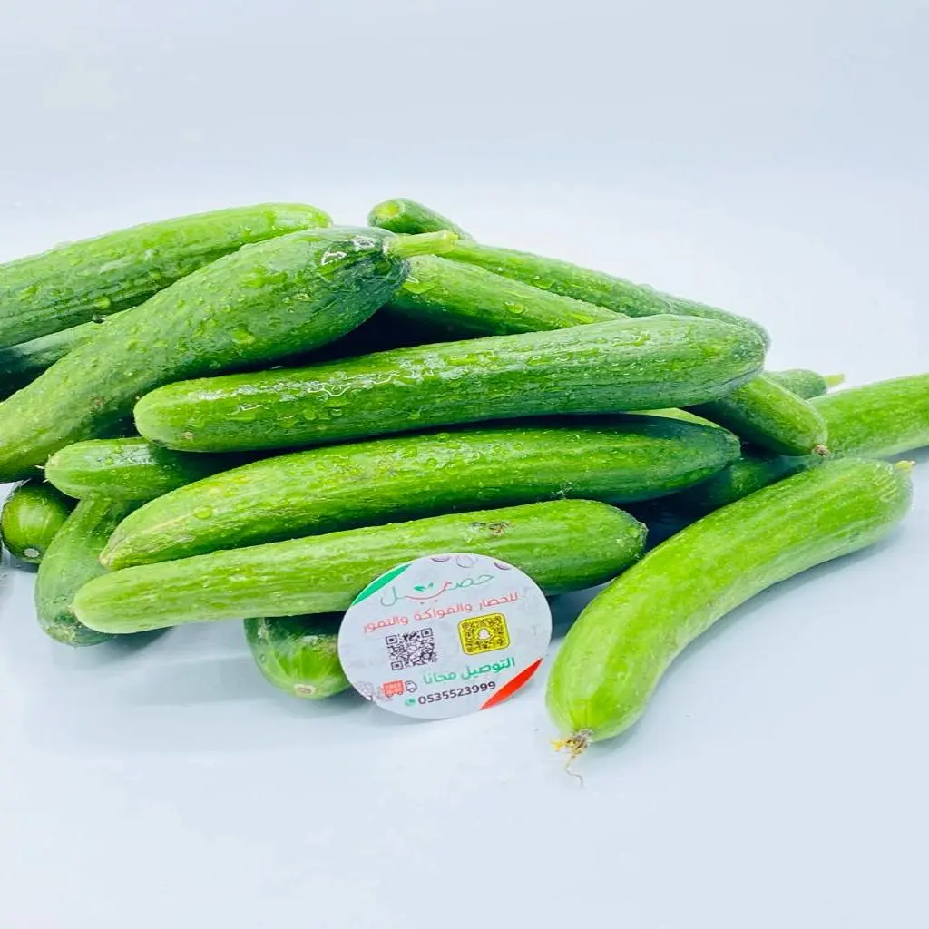 Cucumber